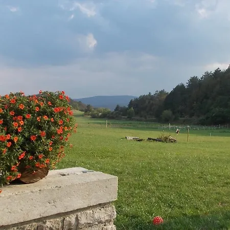 Apartman Tourist Farm Lojtrnik Senožeče