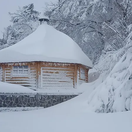 Tourist Farm Lojtrnik * Senozece